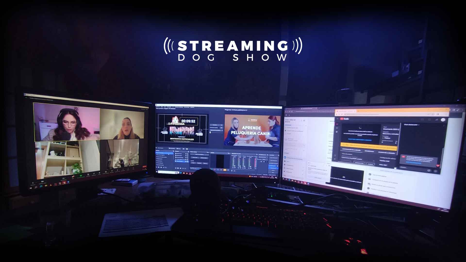 streaming sport groom