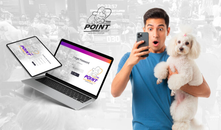 Sistema de puntuación Point Now